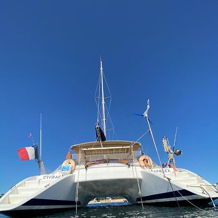 Catamaran Cypraea Hotel Terre-De-Haut Esterno foto