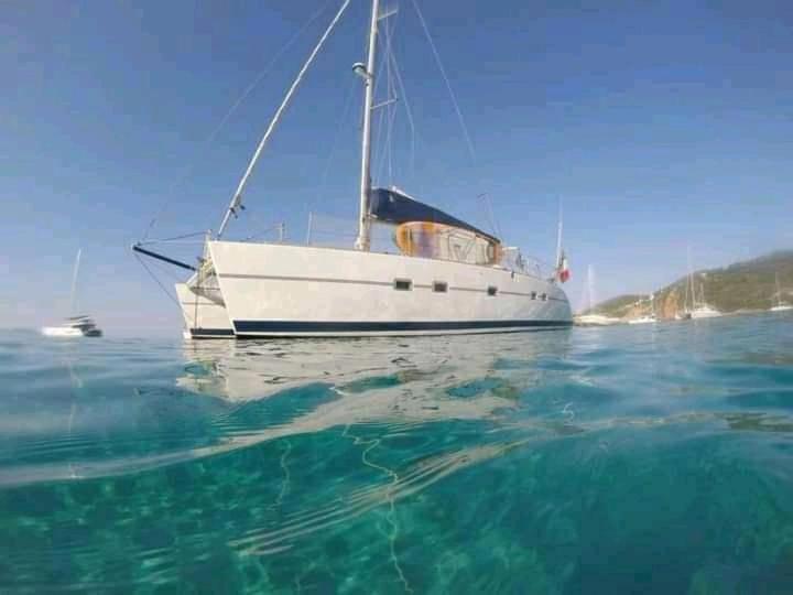 Catamaran Cypraea Hotel Terre-De-Haut Esterno foto